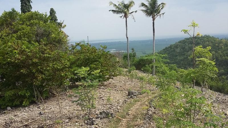 Picture of Residential Lot for sale in San Carlos