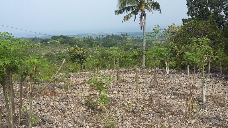 Residential Lot for sale in San Carlos - image 2