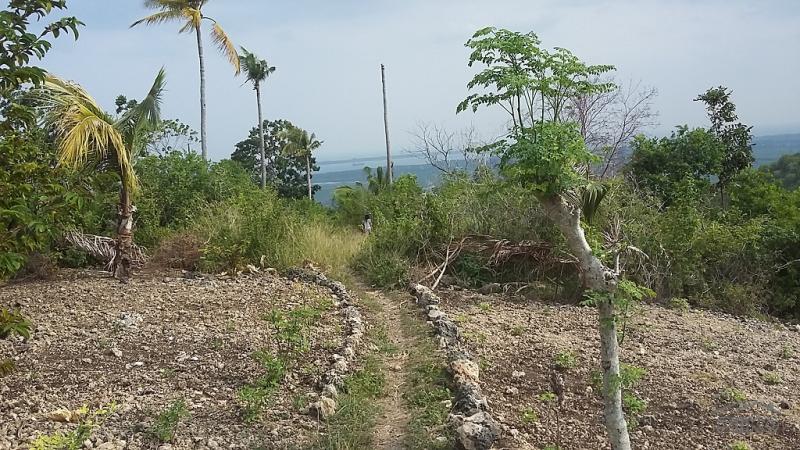 Picture of Residential Lot for sale in San Carlos in Philippines