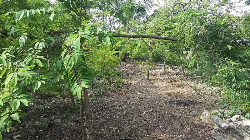 Residential Lot for sale in San Carlos in Negros Occidental - image
