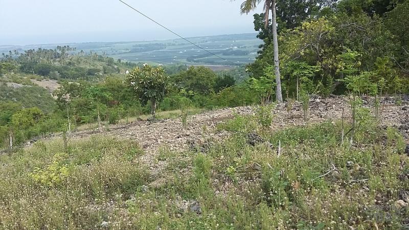 Residential Lot for sale in San Carlos in Philippines - image