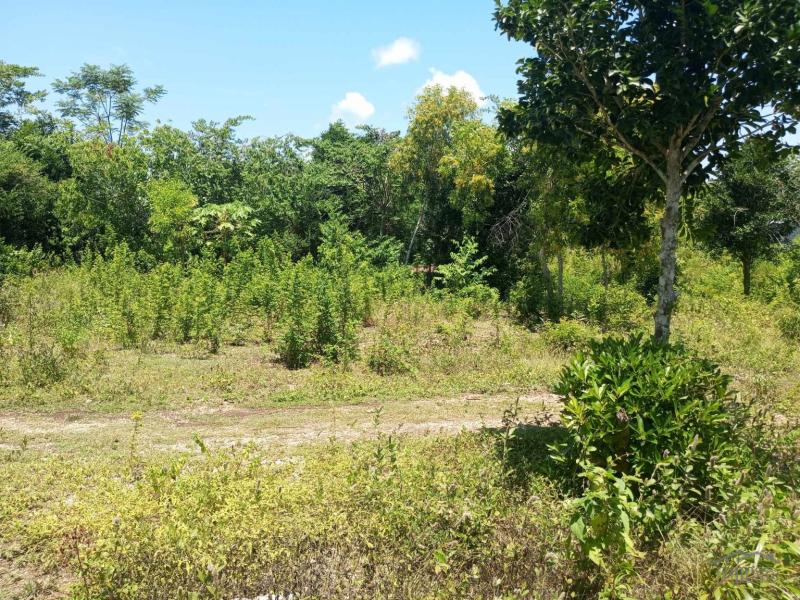Residential Lot for sale in Maria in Siquijor