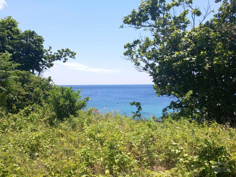 Residential Lot for sale in Maria - image 5