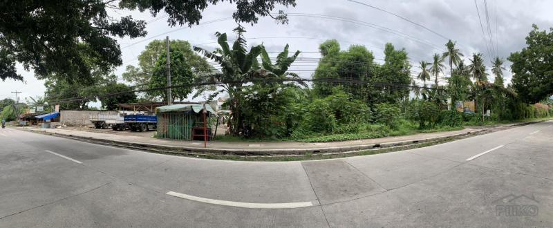 Picture of Commercial Lot for sale in Dumaguete