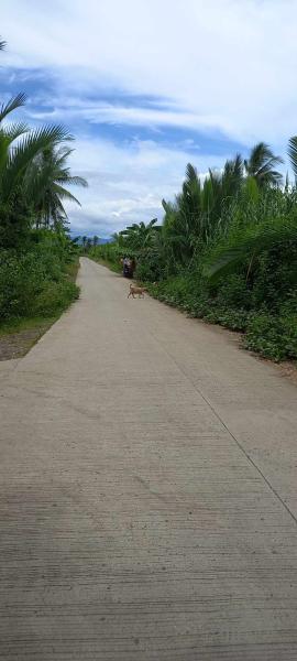 Residential Lot for sale in Tanjay in Negros Oriental