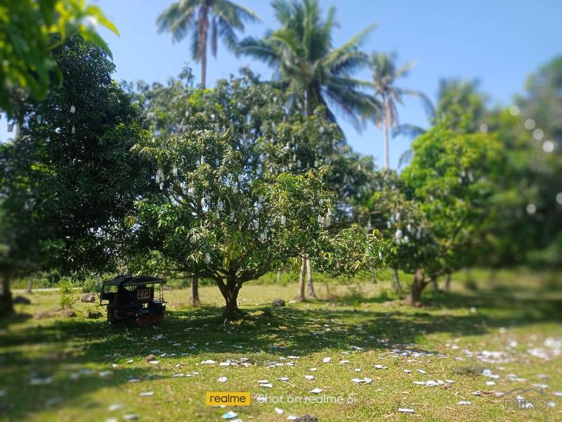 Land and Farm for sale in Pamplona in Negros Oriental