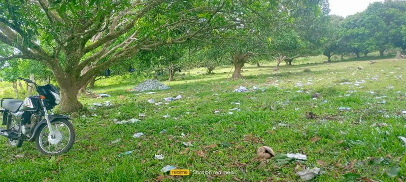 Land and Farm for sale in Pamplona in Philippines