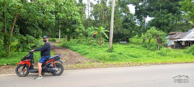 Picture of Land and Farm for sale in Pamplona in Negros Oriental