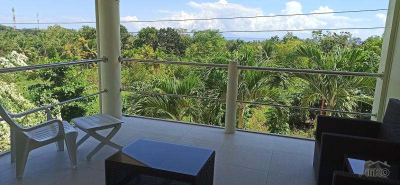 4 bedroom House and Lot for sale in Alcoy - image 22