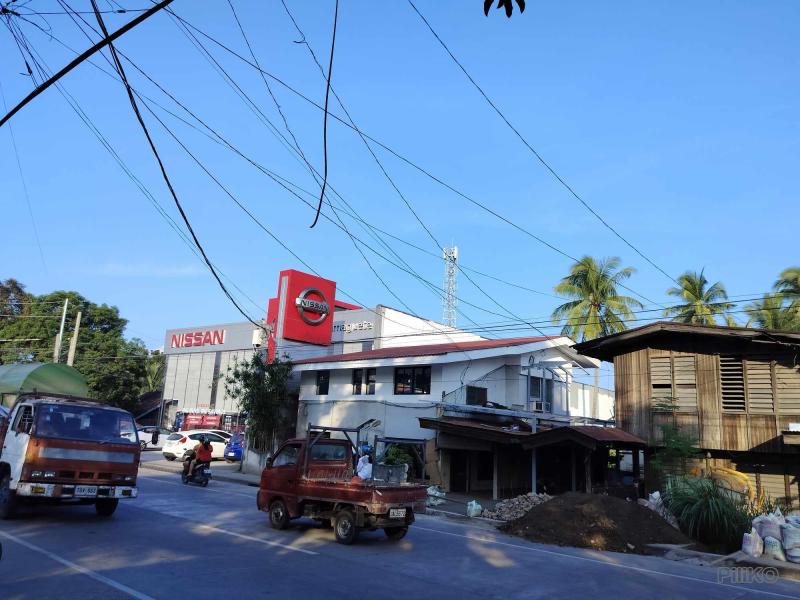 Commercial Lot for sale in Dumaguete - image 10