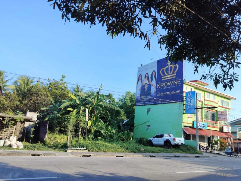 Commercial Lot for sale in Dumaguete - image 3