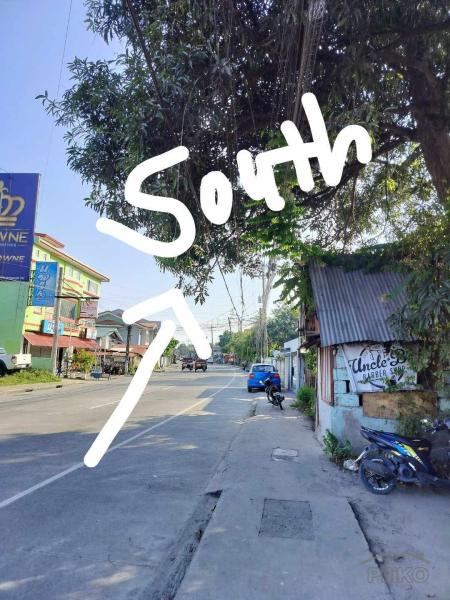 Commercial Lot for sale in Dumaguete - image 7