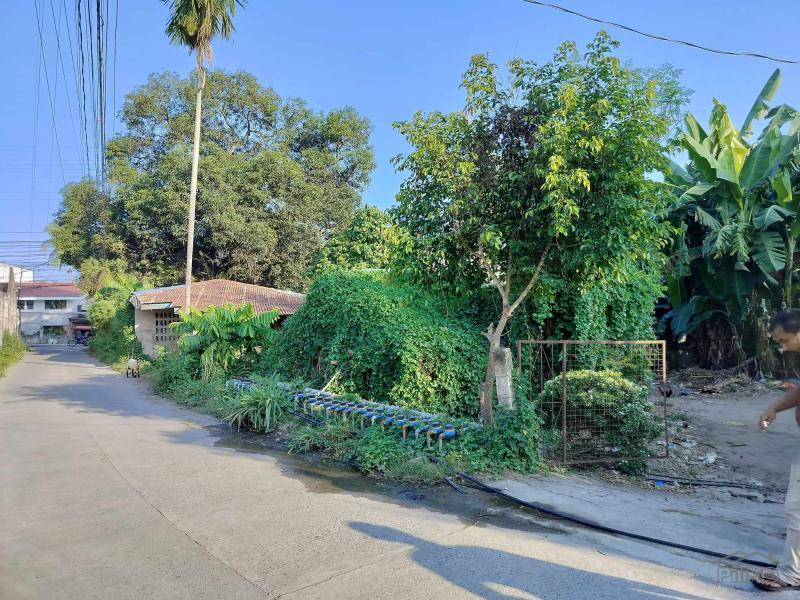 Commercial Lot for sale in Dumaguete - image 9