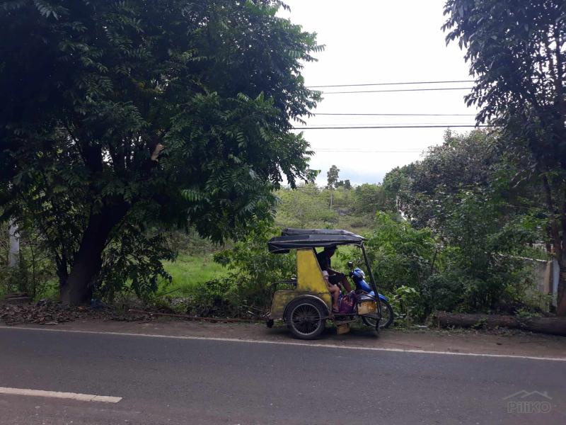 Residential Lot for sale in Santander in Cebu