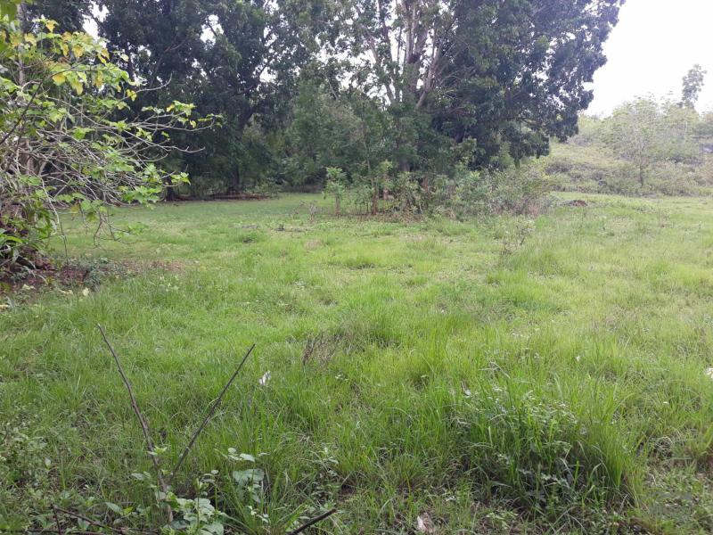 Residential Lot for sale in Santander in Philippines