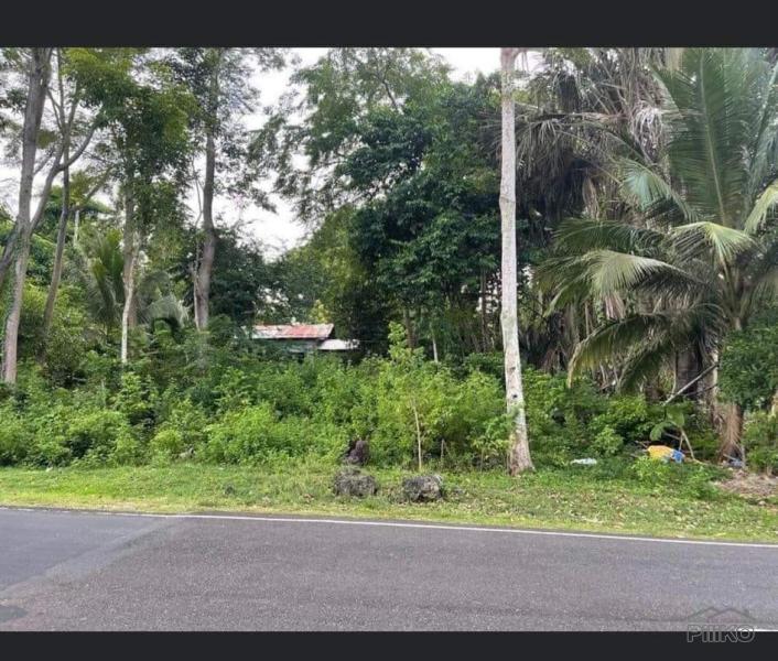 Picture of Residential Lot for sale in San Juan