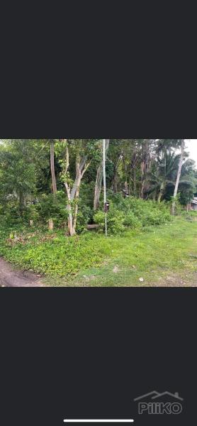 Residential Lot for sale in San Juan in Philippines