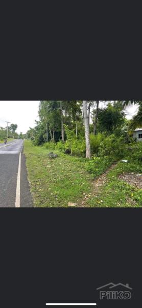 Picture of Residential Lot for sale in San Juan in Philippines