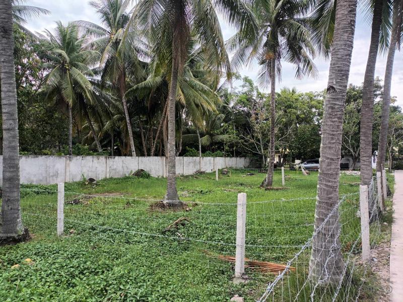 Commercial Lot for sale in Dumaguete - image 2