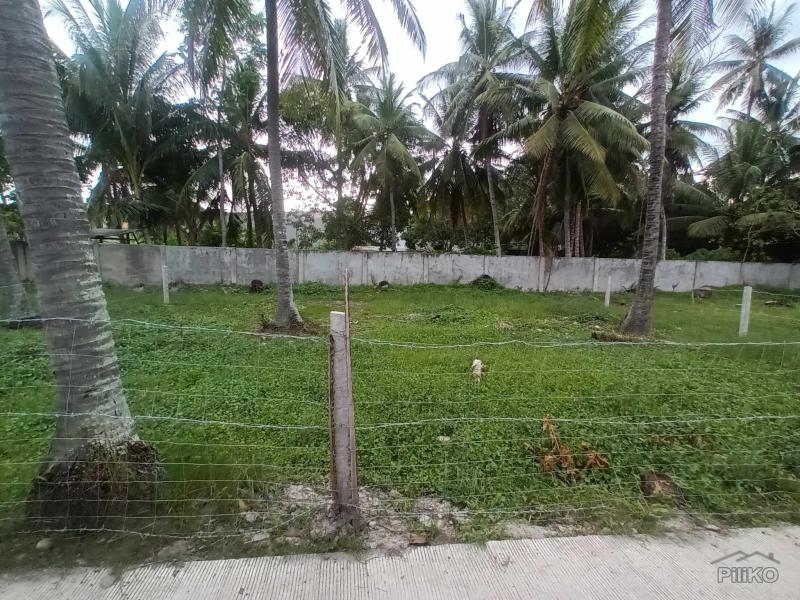 Commercial Lot for sale in Dumaguete - image 3