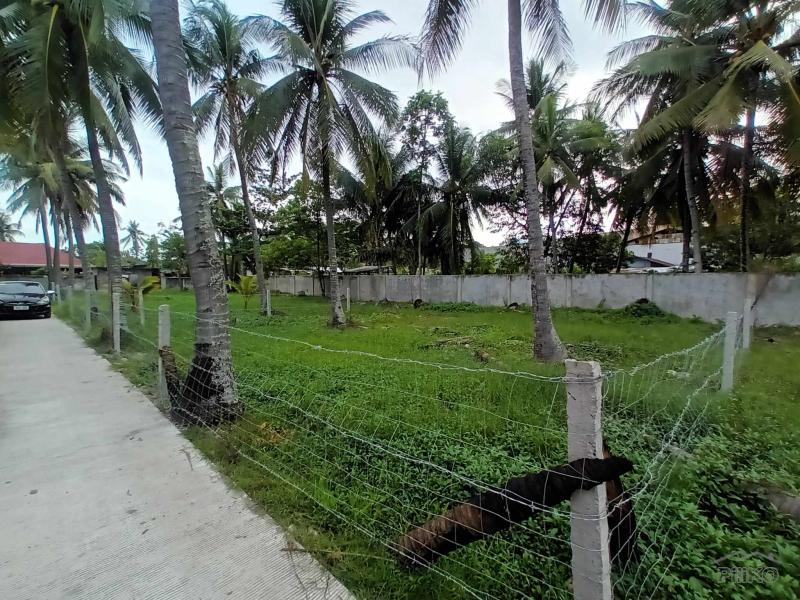 Commercial Lot for sale in Dumaguete - image 4