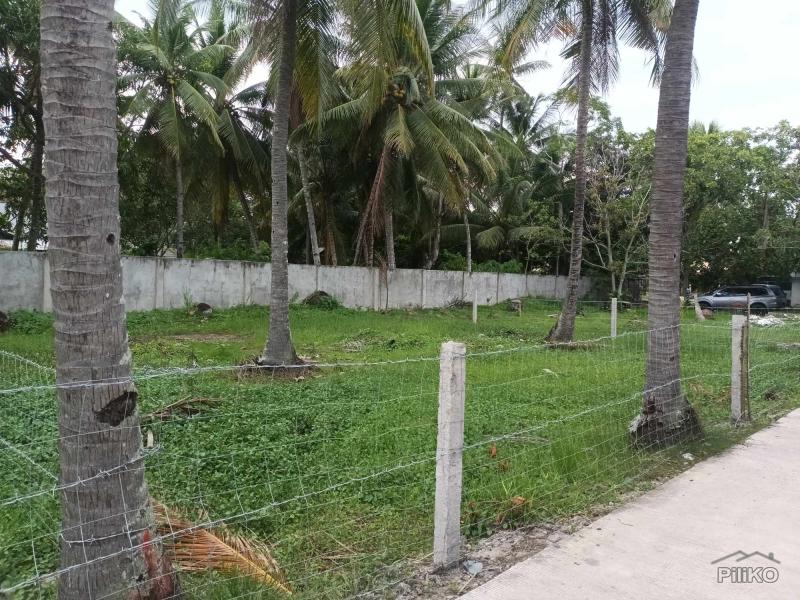 Commercial Lot for sale in Dumaguete - image 5