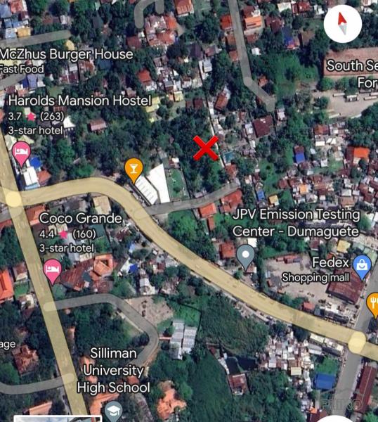 Commercial Lot for sale in Dumaguete - image 6