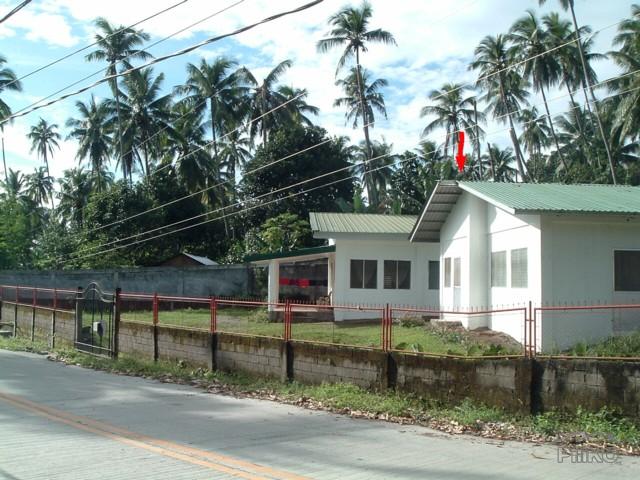 Picture of 3 bedroom House and Lot for sale in Valencia in Negros Oriental
