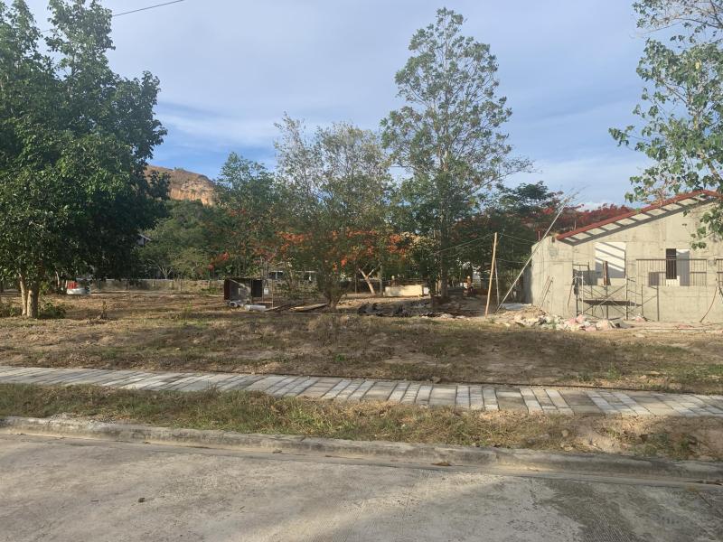 Residential Lot for sale in Coron - image 16
