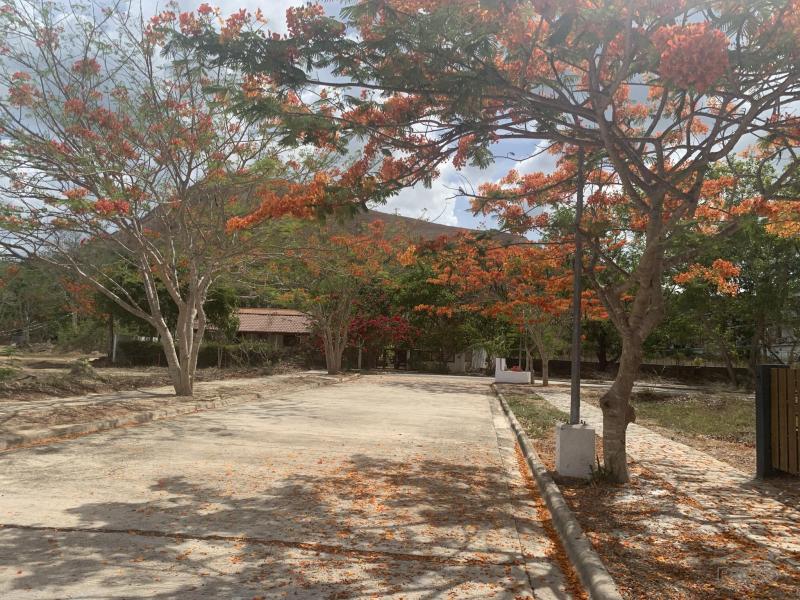 Residential Lot for sale in Coron - image 17