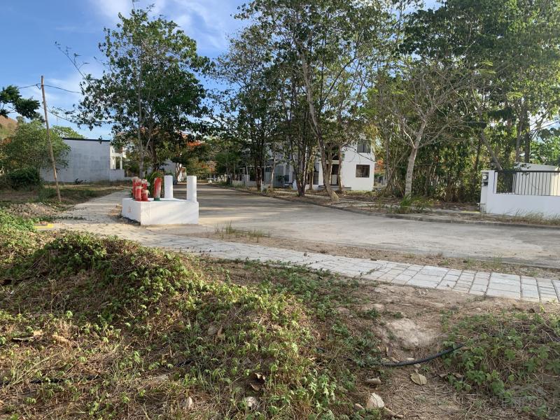 Residential Lot for sale in Coron - image 20