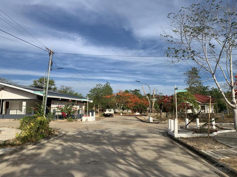 Residential Lot for sale in Coron - image 22