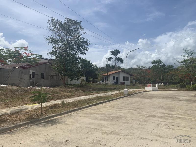 Residential Lot for sale in Coron