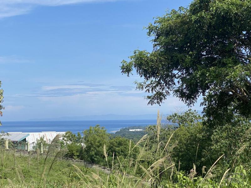 1 bedroom House and Lot for sale in Dumaguete - image 11