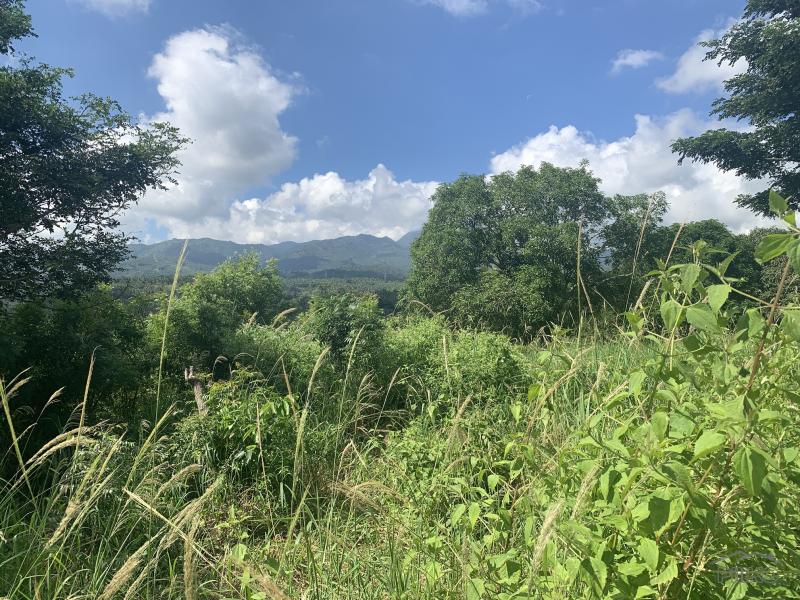 1 bedroom House and Lot for sale in Dumaguete - image 14