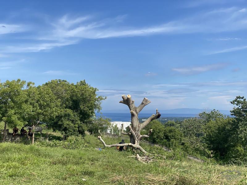1 bedroom House and Lot for sale in Dumaguete - image 6