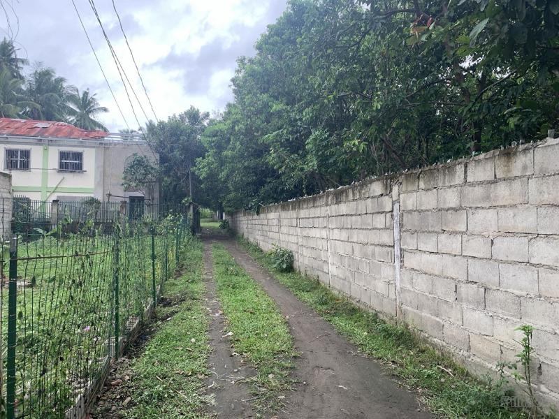 Picture of Residential Lot for sale in Valencia in Negros Oriental