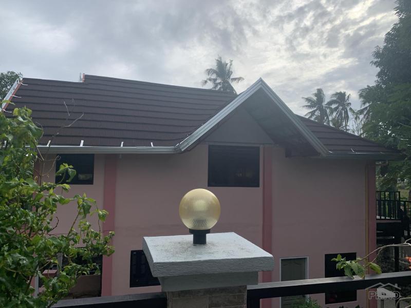 5 bedroom House and Lot for sale in Bacong - image 23