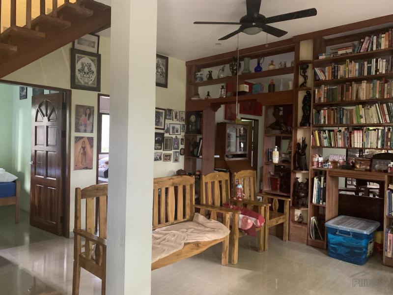 5 bedroom House and Lot for sale in Bacong - image 24