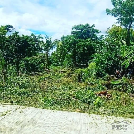 Picture of Commercial Lot for sale in Dumanjug in Philippines
