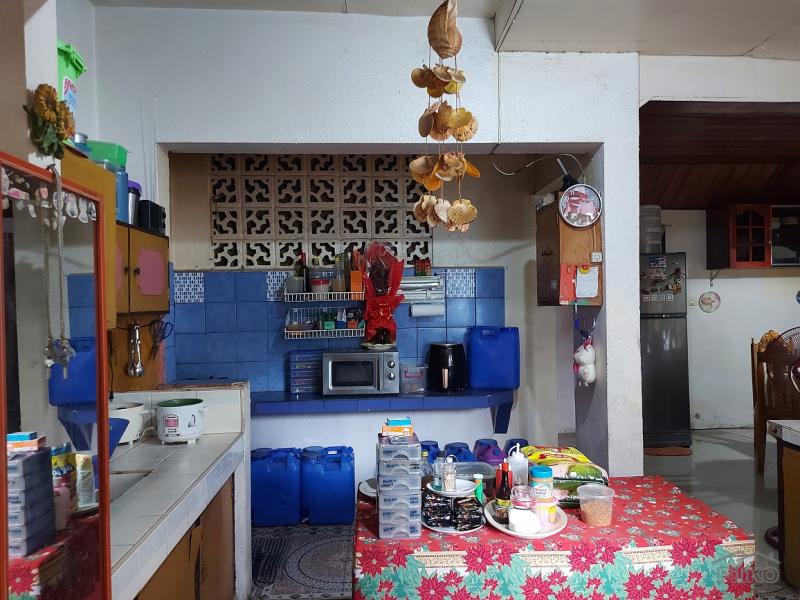 House and Lot for sale in Dumaguete - image 13