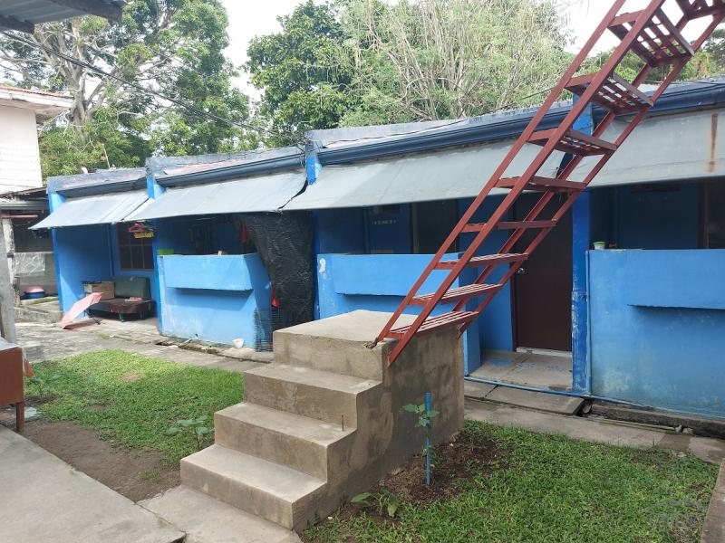 House and Lot for sale in Dumaguete - image 15