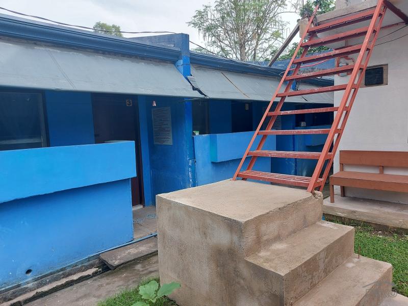 House and Lot for sale in Dumaguete - image 17