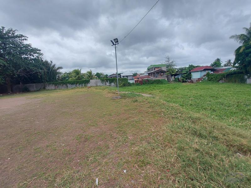 Commercial Lot for sale in Dumaguete - image 10