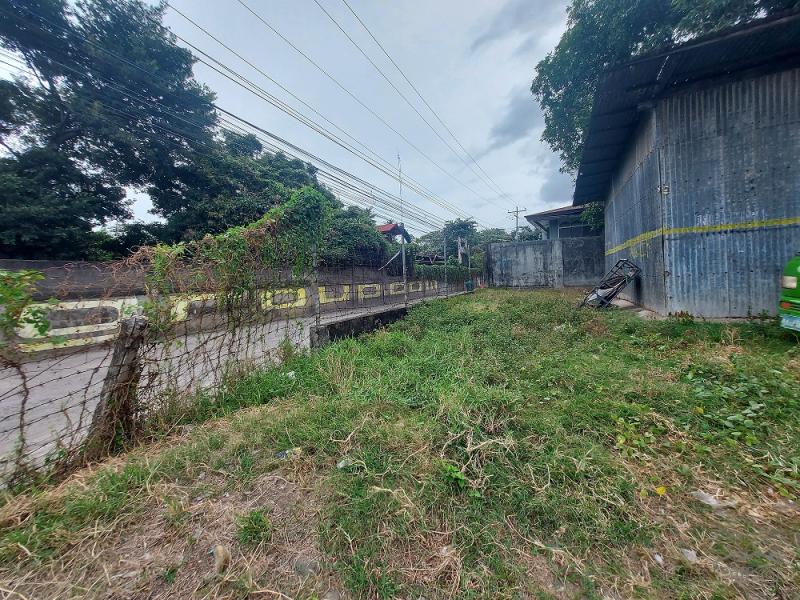 Commercial Lot for sale in Dumaguete - image 15
