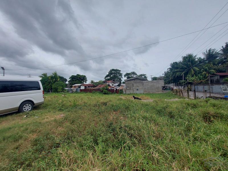 Commercial Lot for sale in Dumaguete - image 16