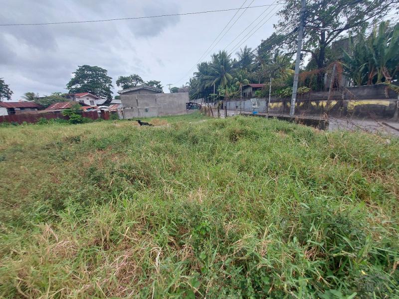 Commercial Lot for sale in Dumaguete - image 17