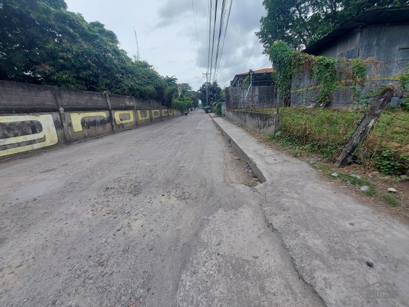 Commercial Lot for sale in Dumaguete - image 18