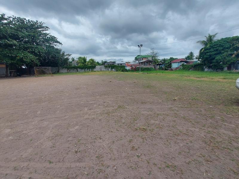 Commercial Lot for sale in Dumaguete - image 2
