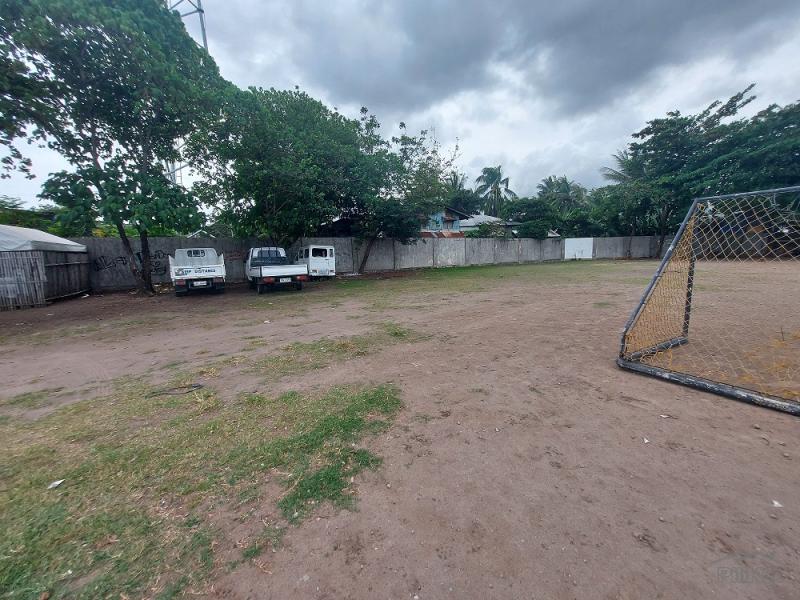 Commercial Lot for sale in Dumaguete - image 4